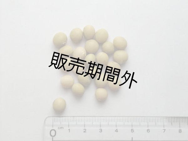 画像2: 手づくりみそキット　３セット　（出来上がり約30kg分） (2)